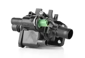 BSG 30-126-009 BSG Термостат, охлаждающая жидкость